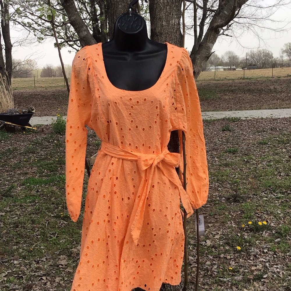London Times Melon Orange Eyelet Lace Bishop Sleeve Cotton Dress